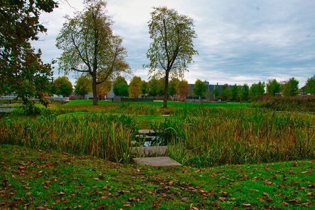 Natuur