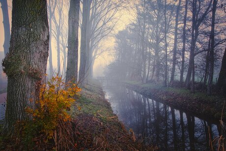Ochtend mist in de wijk