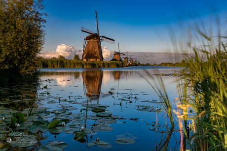 Kinderdijk