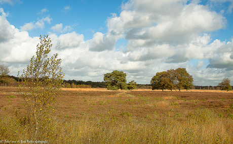 Delleboersterheide in de herfst