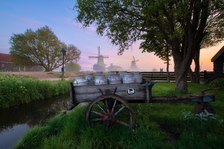 Dutch Sunrise