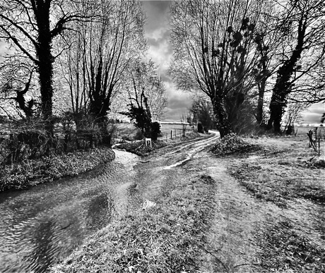 Water vindt haar weg