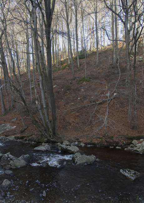 Herfst in Ardennen