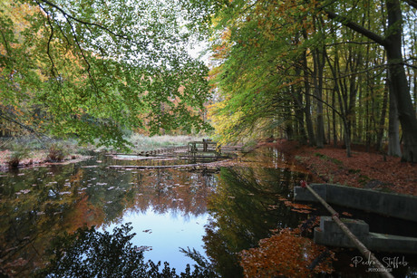 Het Waterloopbos