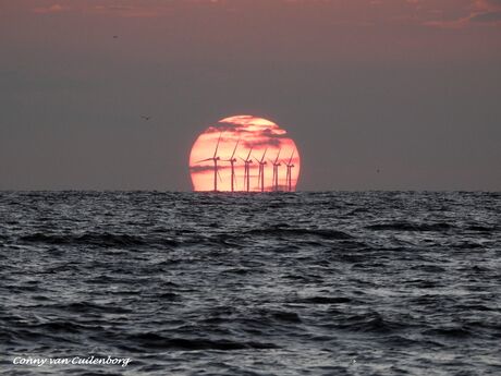 Zonsondergang Langevelderslag