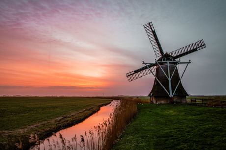 Molen