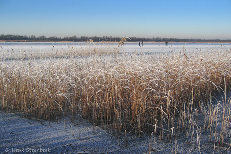 Naardermeer 2009