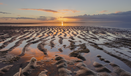 Zonsopkomst Maasvlakte