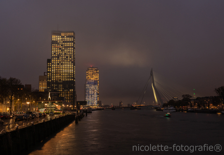 Rainy night in Rotterdam