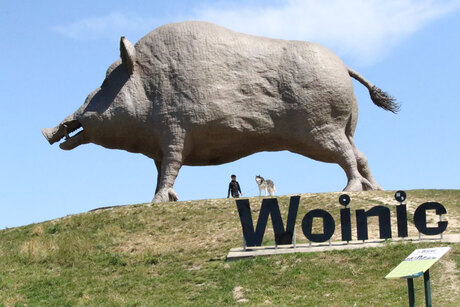 varken in Saulces - Monclin