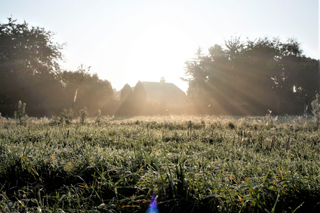 mist and wetgrounds with the sun