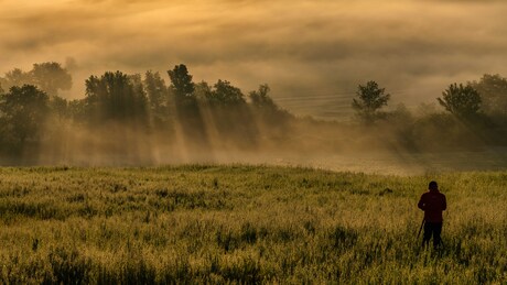 man in het veld