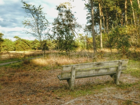 Van de omgeving genieten 