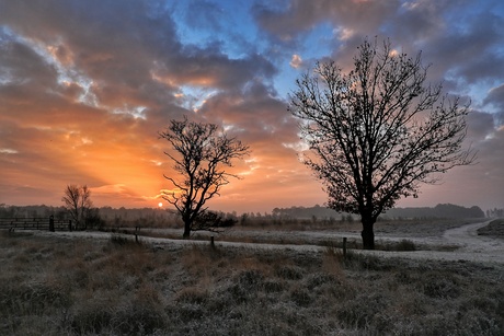 Zonsopkomst Bargerveen