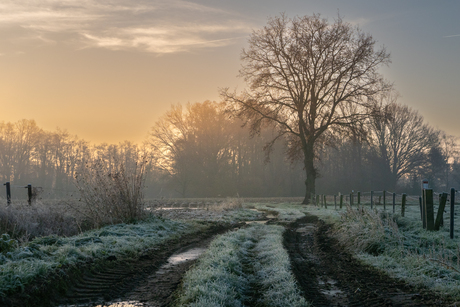 winterlandschap