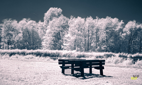 De picknick tafel