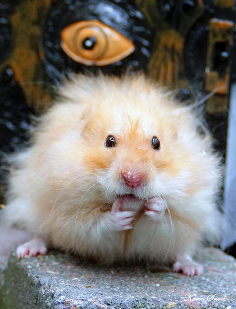 "I something behind me......"