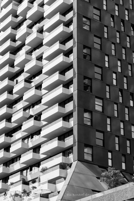 Zwart-wit in hartje Rotterdam