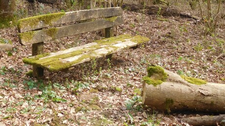 Welkom, neemt u plaats