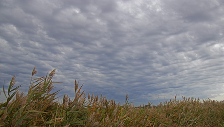 wolken