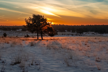 Zonsopgang op de Elspeterheide
