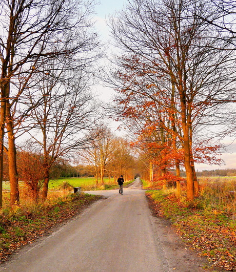 Uit het archief 2010.