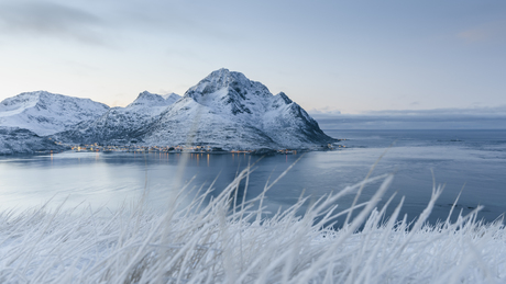 Arctic Landscape