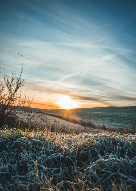 Koude zonsopkomst 