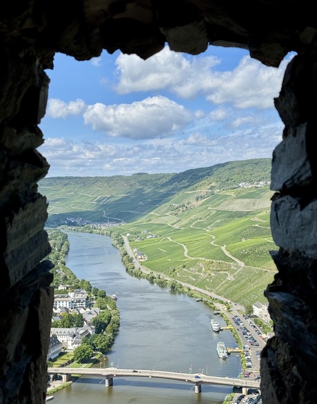 Bernkastes-Kues wijnvelden