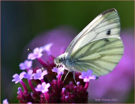 Het is weer voorbij die mooie zomer.