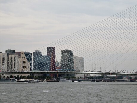 Kijk op Noordzijde Nieuwe Maas te Rotterdam