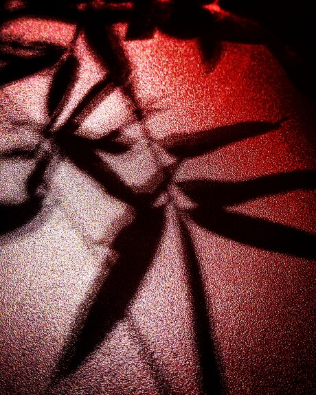 Artistic projection 05