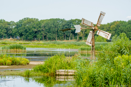 Biesbosch