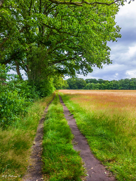 Het Drentse landschap. 