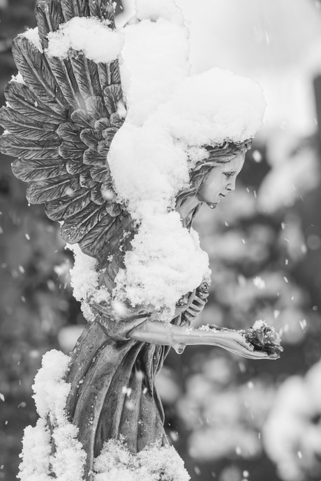 Angel of snow II