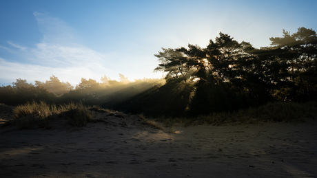 Goedemorgen-mist-zon