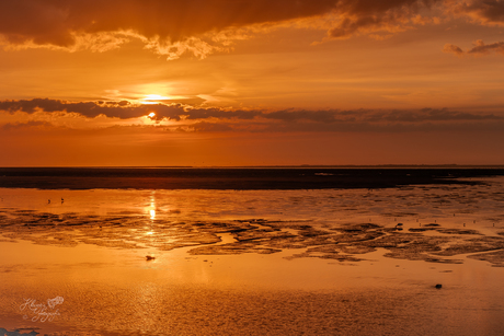 Mooie avond aan het Wad
