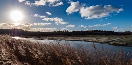 Laagstaande zon aan graskant in Texel