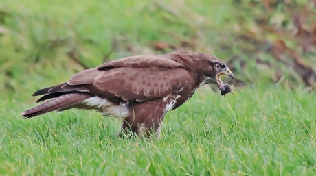 AUWW!! je bijt me in de tong