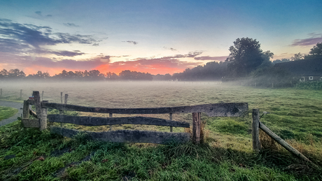 Goedemorgen 11 oktober