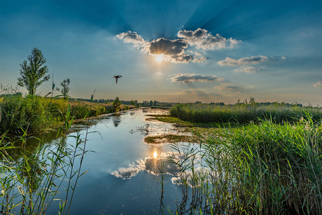 Park Lingezegen bij Elst (gld)