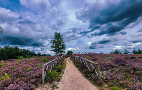 Uitzichtpunt Lemmelerberg 