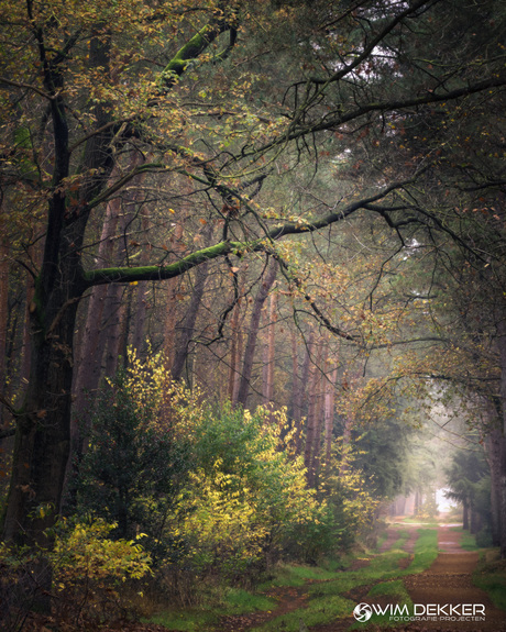 Herfstsferen