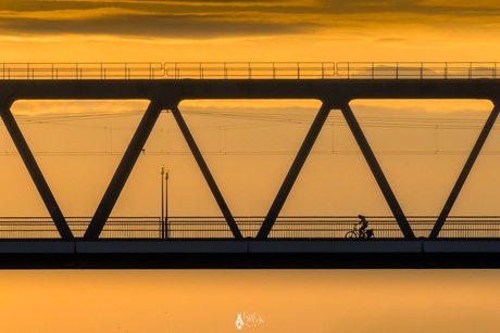 Crossing!