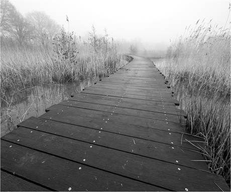 Varsseveld [224]
