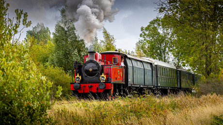 De stoomtrein...