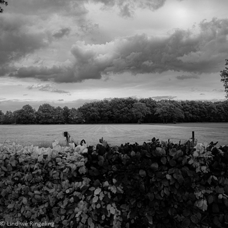 Black & white landscape 