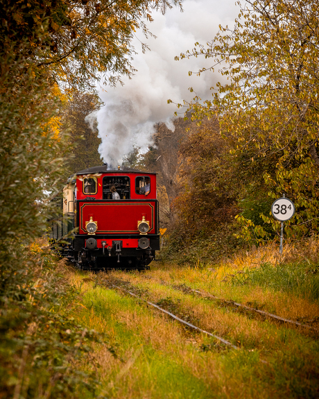 Boemelend de herfst in...
