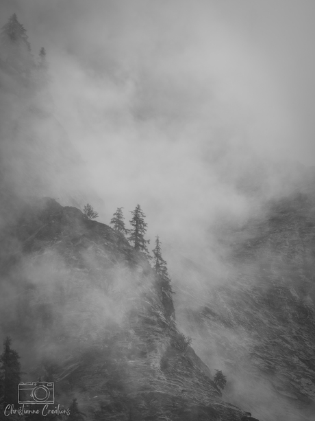 Verdwenen in de Mist