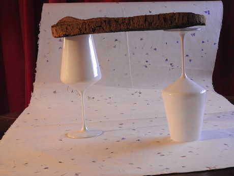 Pergola als poort naar het Romeins voedselbos, Nijmegen 2026